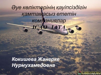 Әуе көліктерінің қауіпсіздігін қамтамасыз ететін компаниялар ICAO IATA