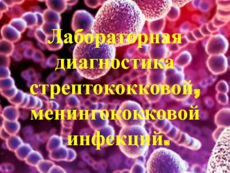 Лабораторная диагностика стрептококковой, менингококковой инфекций