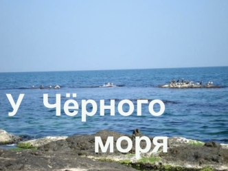 У  Чёрного   						моря