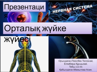 Орталық жүйке жүйесі