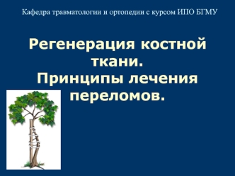 Регенерация костной ткани. Принципы лечения переломов