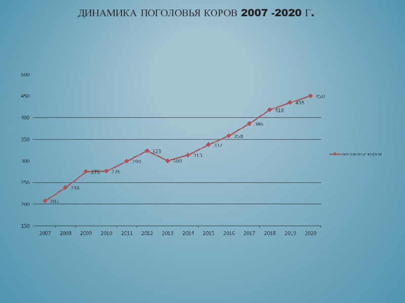 ДИНАМИКА ПОГОЛОВЬЯ КОРОВ 2007 -2020 Г.