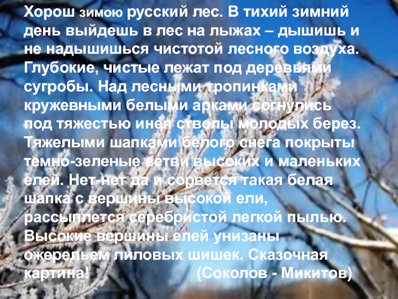 Зима лес слова. Сочинение зимой в лесу. Сочинение зимний лес. Описание природы зимнего леса. Текст зимний лес.