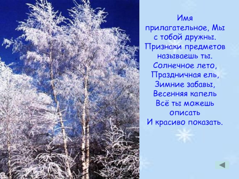 Ель прилагательное. Имя прилагательное мы с тобой дружны признаки предметов называешь ты. Текст хороша ель зимой.