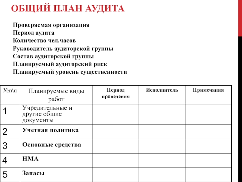 План проведения аудита готовит