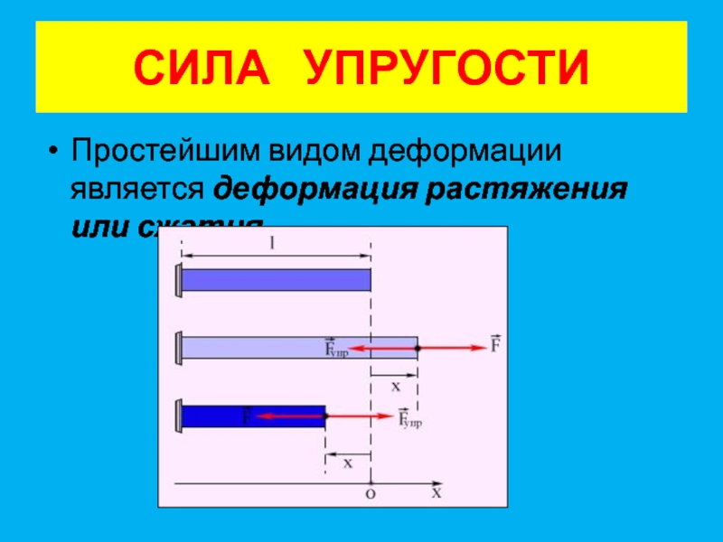 8 сила упругости. Сила упругости. Сила упругости растяжение. Виды силы упругости. Виды деформации сила упругости.