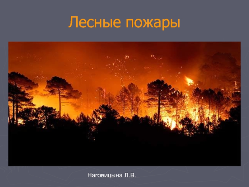 Лесной пожар относится к биологически опасным явлениям. Природные ЧС природные пожары. Природные явления пожар. ЧС природного явления пожара. Чрезвычайная ситуация Лесные пожары.