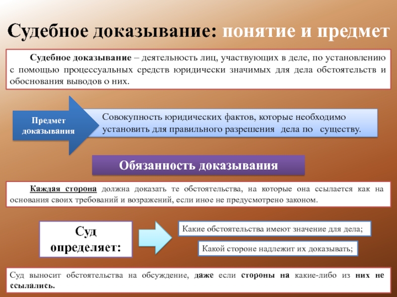 Понятие системы судебной фотографии