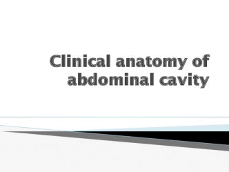 Clinical anatomy of abdominal cavity