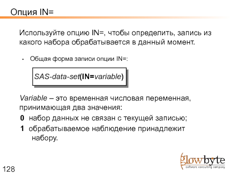 Определяет запись. SAS язык программирования. Общая форма записи Switch.