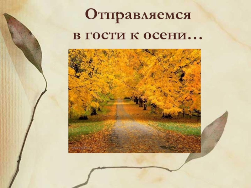 В гости к осени. Презентация на тему в гости к осени. Презентация в гости к осени презентация. В гости к осени рабочий лист. Проект Золотая осень.