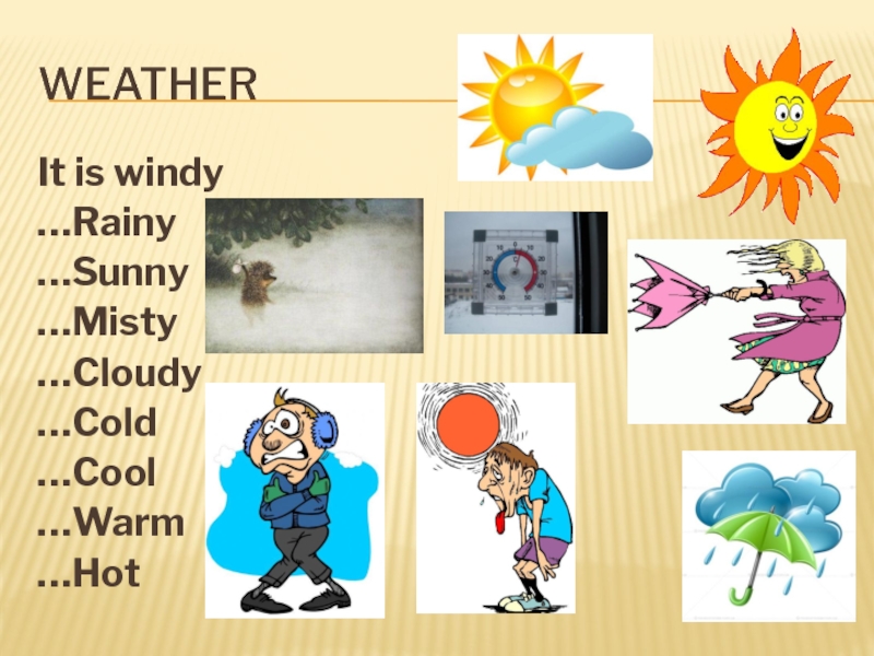 It s windy it s cold. Windy weather. Картинки warm weather. Weather Sunny Windy. Sunny Windy Rainy Cold.