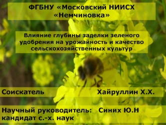 Влияние глубины заделки зеленого удобрения на урожайность и качество сельскохозяйственных культур