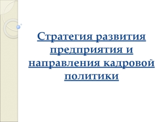 Стратегия развития предприятия и направления кадровой политики