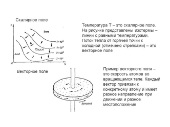 Скалярное поле. Векторное поле