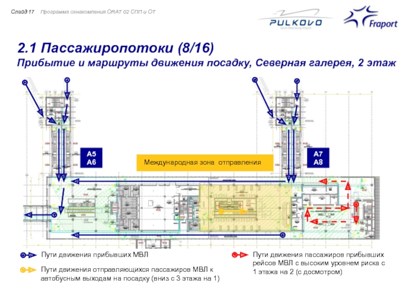 Аэропорт махачкала схема аэропорта