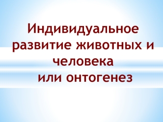 Индивидуальное развитие животных и человека, или онтогенез