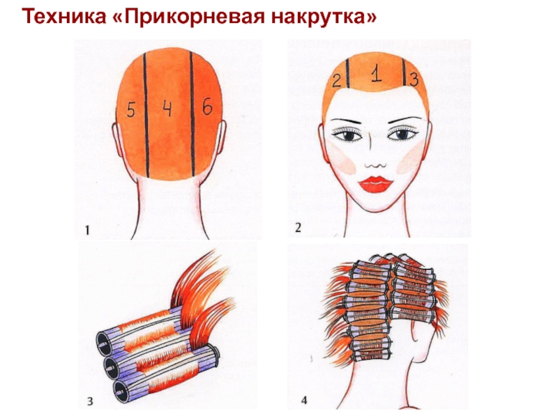 Схема прикорневой завивки