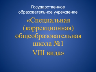 Специальная (коррекционная) общеобразовательная школа №1 
VIII вида