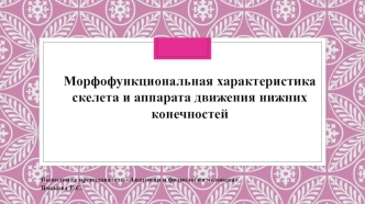 Морфофункциональная характеристика скелета и аппарата движения нижних конечностей