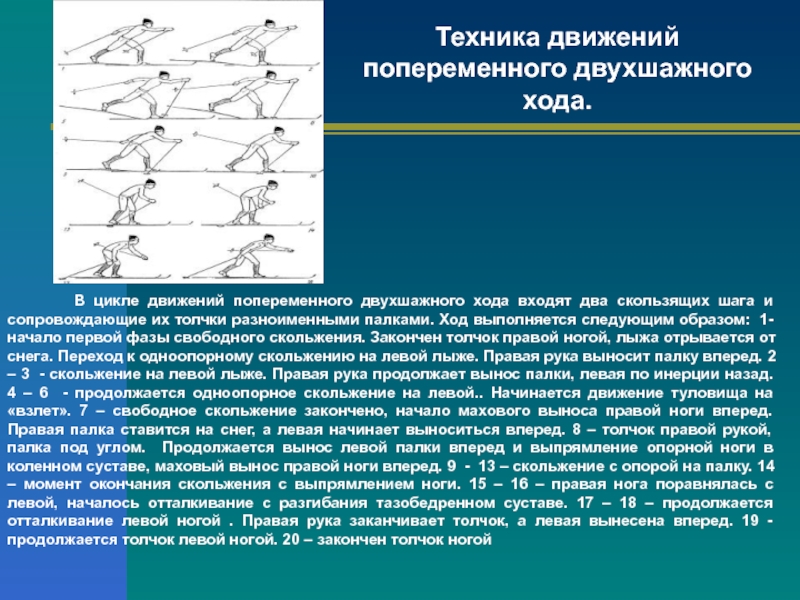 Ход войти. Технику попеременно двухшажного хода. Техника выполнения попеременно двухшажного хода. Техника поперечного двухшажного хода на лыжах. Техника поперечного двухшажного хода кратко.