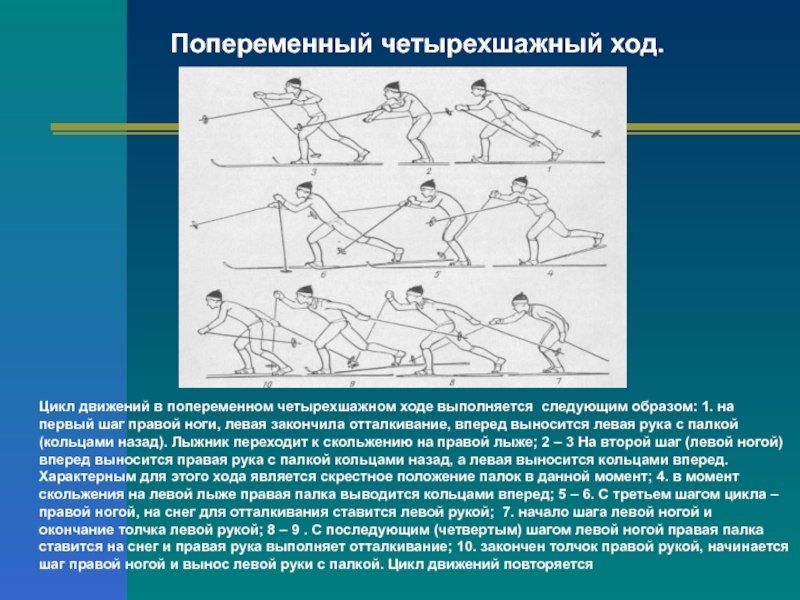 Суть 2 шага. Попеременный четырехшажный ход. Попеременный четырехшажный ход техника. Попеременный четырехшажный шаг. Попеременно четырёхшажный ход на лыжах.