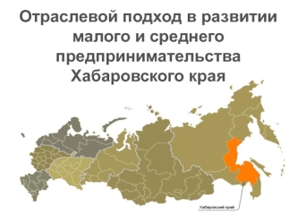 Отраслевой подход в развитии
малого и среднего предпринимательства
Хабаровского края