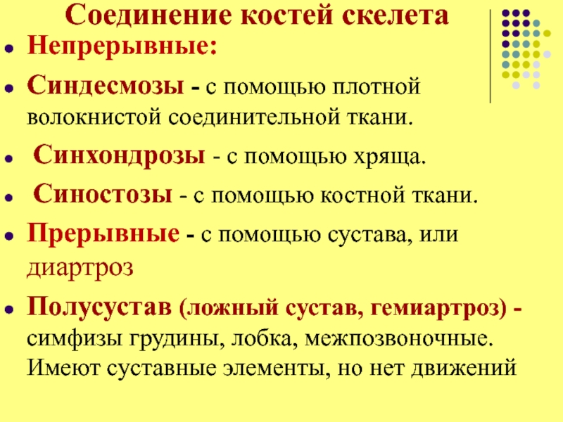 Плотный помогать. Непрерывные соединения костей с помощью соединительной ткани это. Соединение костей скелета синхондроз. Непрерывные соединения костей синдесмозы синхондрозы синостозы. Соединение костей скелета непрерывные.