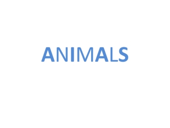 animals