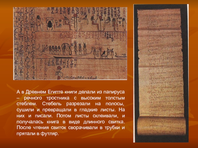 Растение на котором писали первые книги. Книги на папирусе. Книги из Египта. Древние книги на папирусе. В Египте делали книги из папируса.