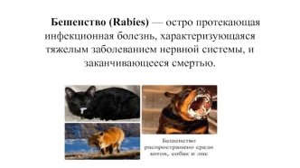 Бешенство (Rabies)