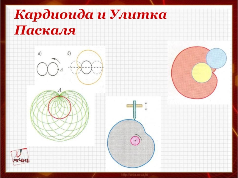 Замечательные кривые презентация