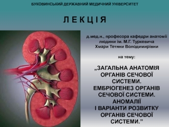 д.мед.н., професора кафедри анатомії людини ім. М.Г. Туркевича
Хмари Тетяни Володимирівни
 
на тему:
 
„Загальна анатомія органів сечової системи. 
Ембріогенез органів сечової системи. Аномалії 
і варіанти розвитку органів сечової системи.”