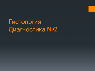 Гистология. Диагностика №2. Нерв (сосудисто-нервный пучок)