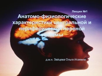 Анатомо-физиологические характеристики центральной и периферической нервной системы. (Лекция 1)