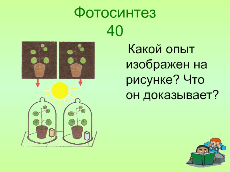 Опыт дыхание растений 6 класс. Опыт фотосинтез. Опыты доказывающие фотосинтез. Опыты по фотосинтезу и дыханию растений. Фотосинтез эксперимент.