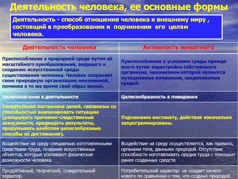 Реферат На Тему Деятельность Способ Существование Людей