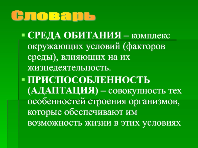 Строение среды. Условия среды обитания подорожника. Среда обитания это совокупность. Совокупность условий жизни организмов это. Среда обитания для организмов это совокупность окружающих условий.