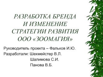 РАЗРАБОТКА БРЕНДАИ ИЗМЕНЕНИЕ СТРАТЕГИИ РАЗВИТИЯ ООО ЗООМАГИЯ