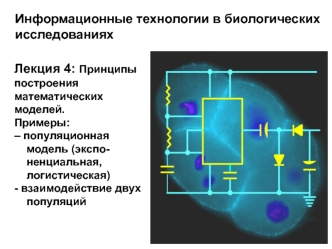 Информационные технологии в биологических исследованиях. Лекция 4: Принципы построения математических моделей