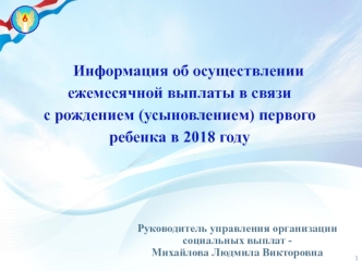 Информация об осуществлении ежемесячной выплаты в связи с рождением (усыновлением) первого ребенка в 2018 году