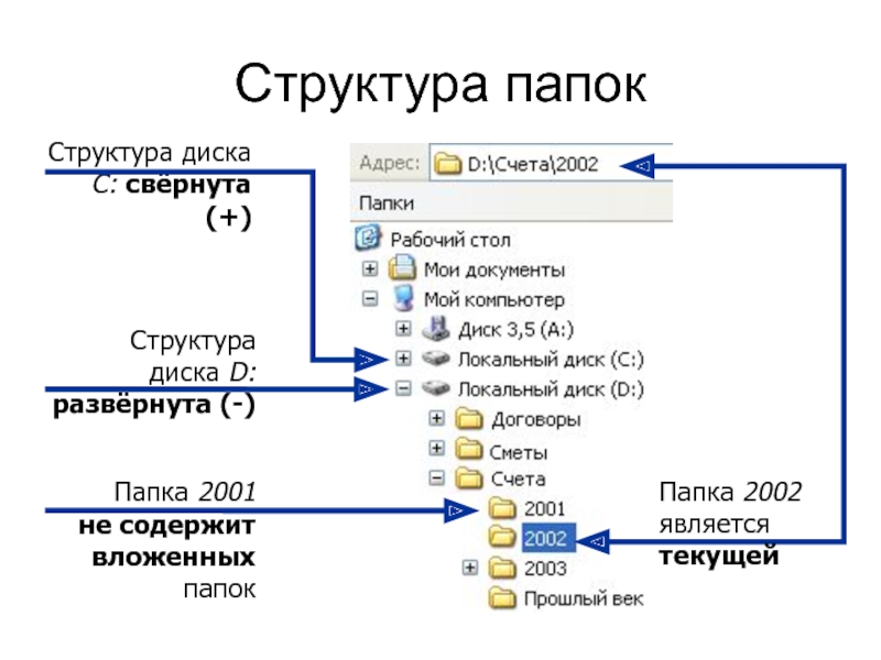 Структура папок