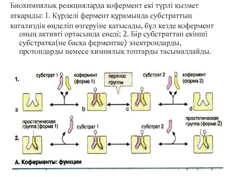 Биохимиялық әдіс