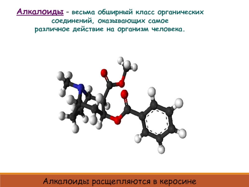 Алкалоиды это