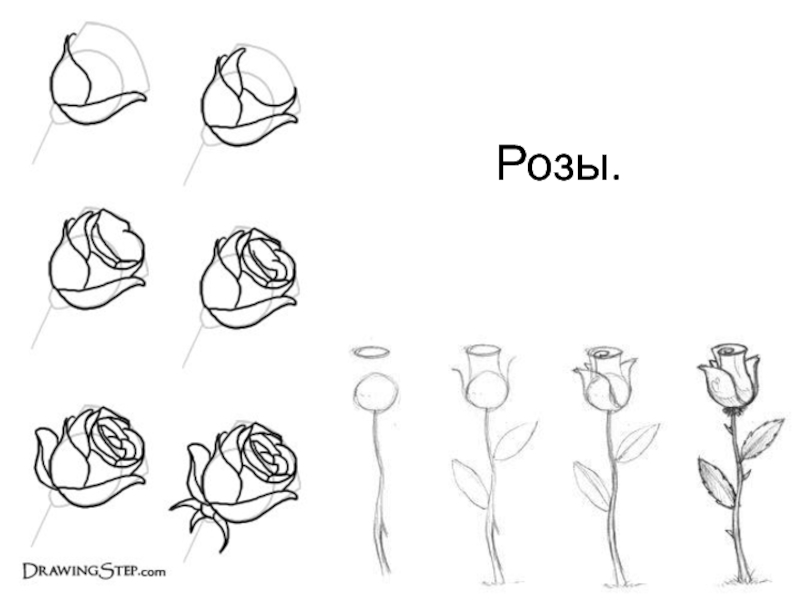 Рисовать не онлайн