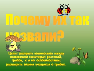 Почему их так
назвали?