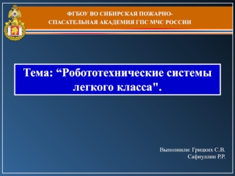 Робототехнические системы легкого класса