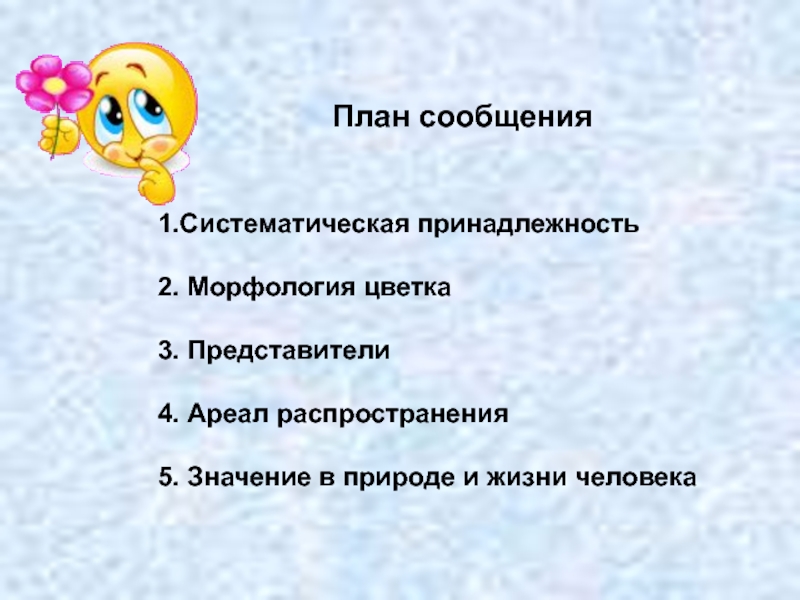 План сообщения 3 класс