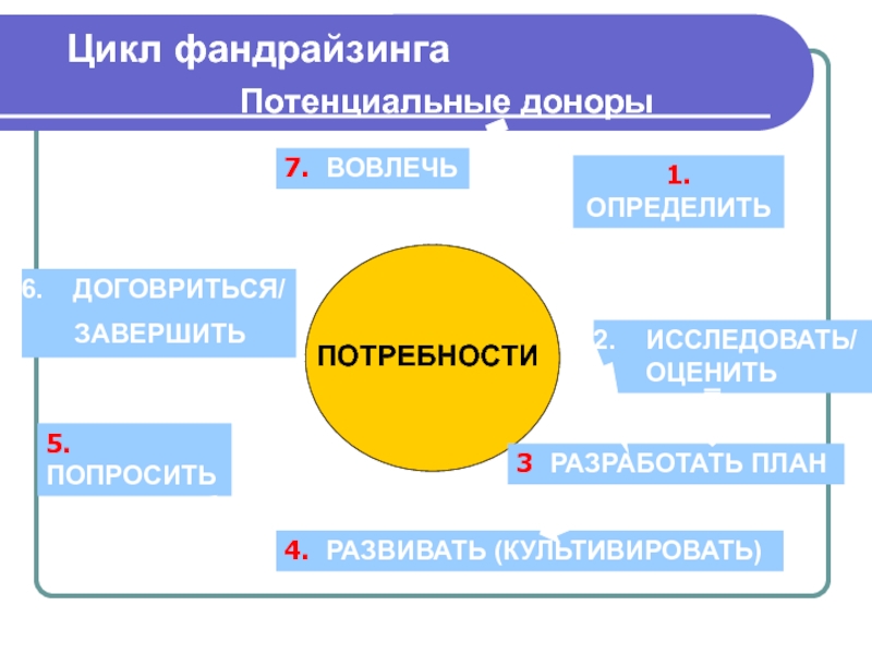 Фандрайзинговый проект пример