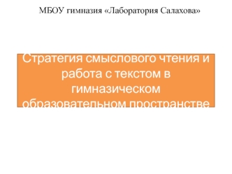 Стратегия смыслового чтения и работа с текстом в гимназическом образовательном пространстве